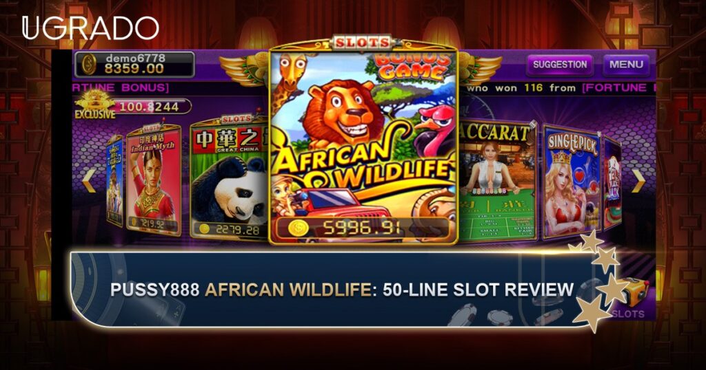Pussy888 African Wildlife Slot Review: Paylines, Symbols and Bonus Game