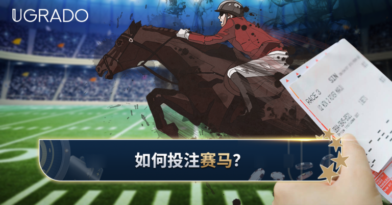 赛马投注新手指南：赔率与投注类型详解