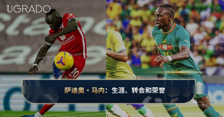 萨迪奥·马内：职业生涯、转会、荣誉和慈善事业